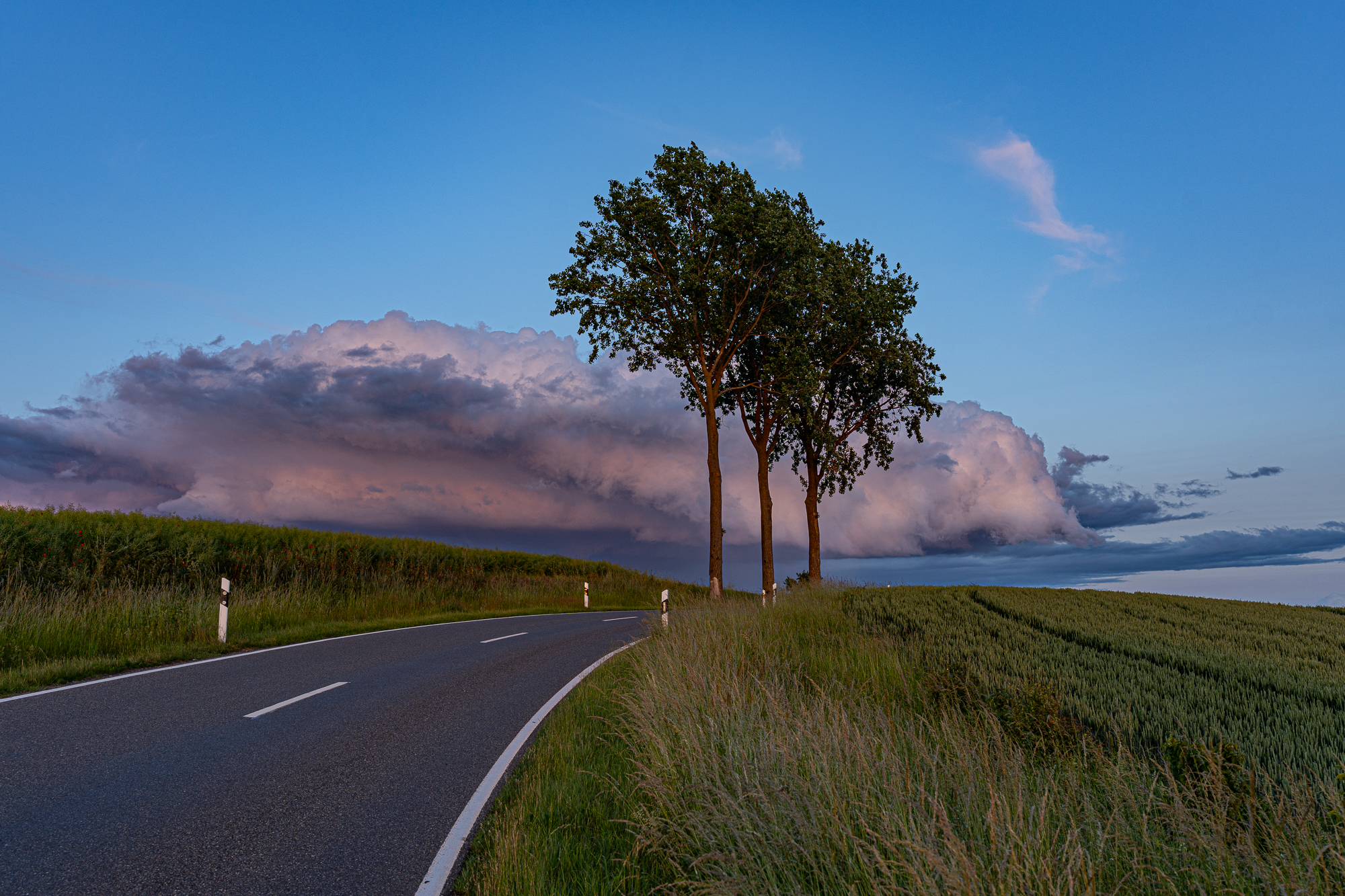 Drei Bäume – Sambleben -Wetterfront