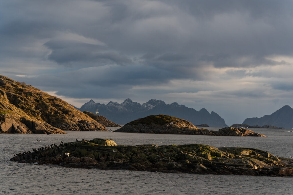 Felsen vor dem Wohnzimmer