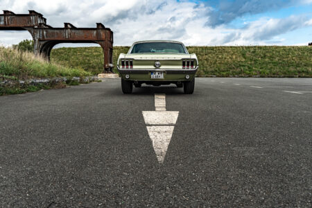 Mustang BACK