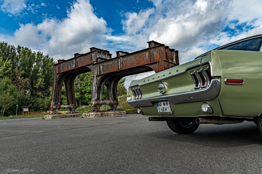Mustang Ilsede