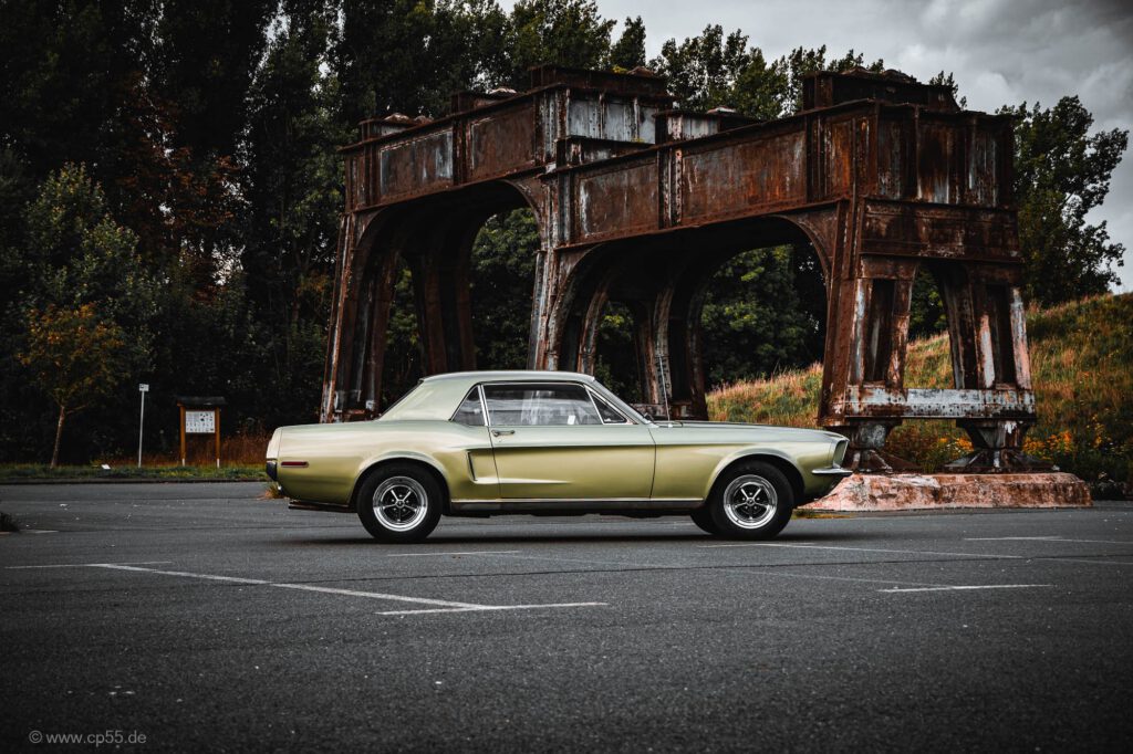 Mustang Ilsede