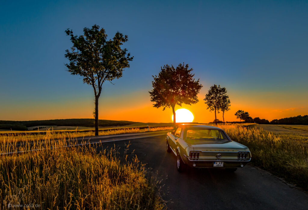 Summer evening mood