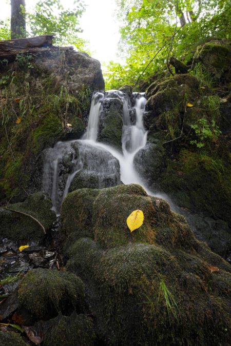 Kleiner Wasserfall Blatt