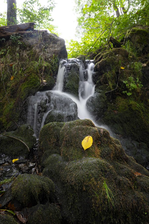 Kleiner Wasserfall Blatt